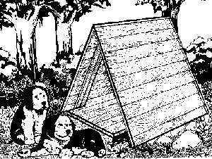[Dog House]
